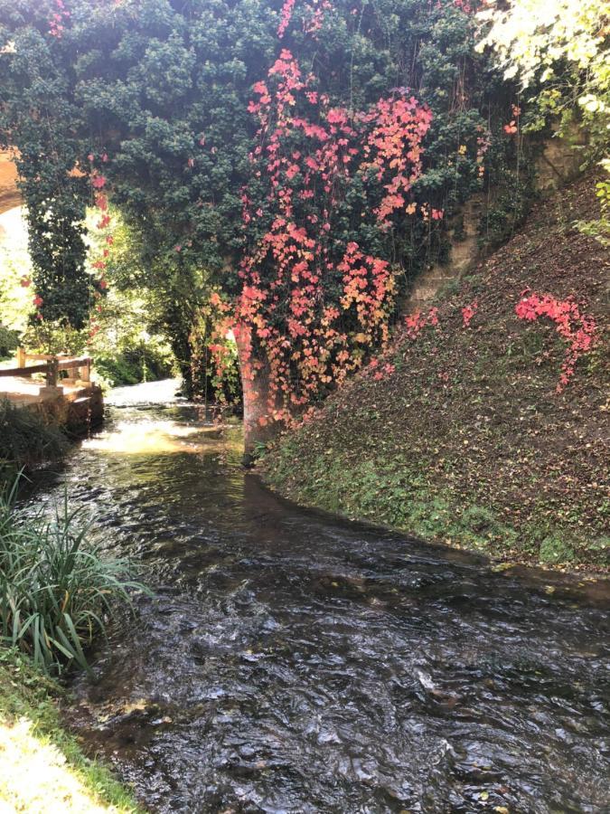 Le Moulin De La Beune Les Eyzies ภายนอก รูปภาพ