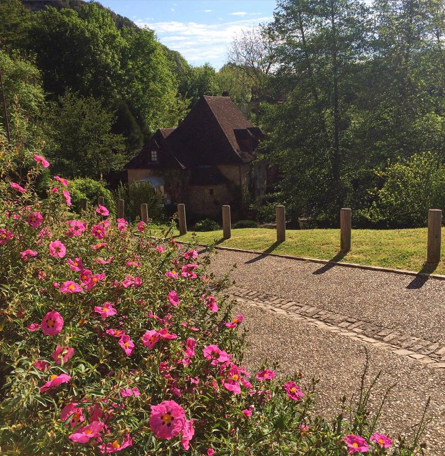 Le Moulin De La Beune Les Eyzies ภายนอก รูปภาพ